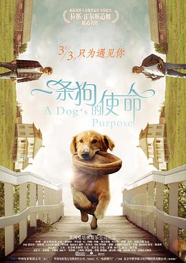 在线免费观看国产精品